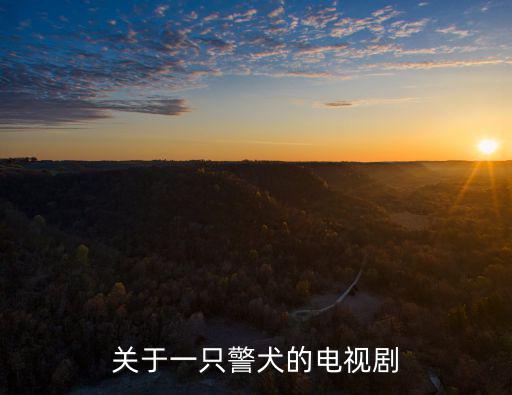 關(guān)于一只警犬的電視劇