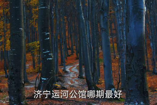 濟寧運河公館哪期最好