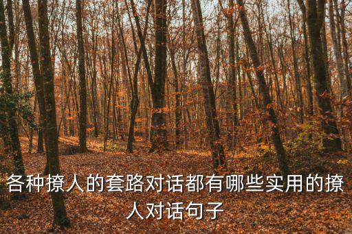 各種撩人的套路對話都有哪些實用的撩人對話句子
