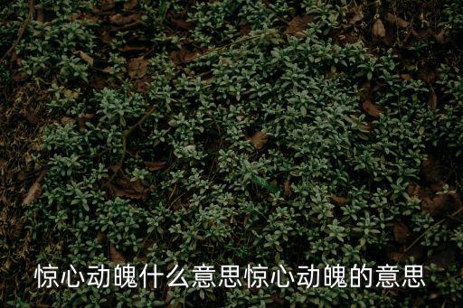 驚心動魄什么意思驚心動魄的意思