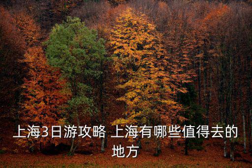 上海自由行3日游攻略，上海三日游攻略