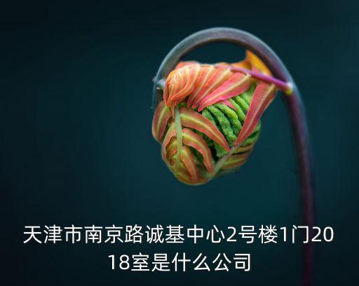 天津市南京路誠基中心2號樓1門2018室是什么公司