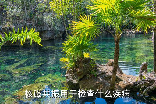磁共振檢查什么,核磁共振檢查什么?
