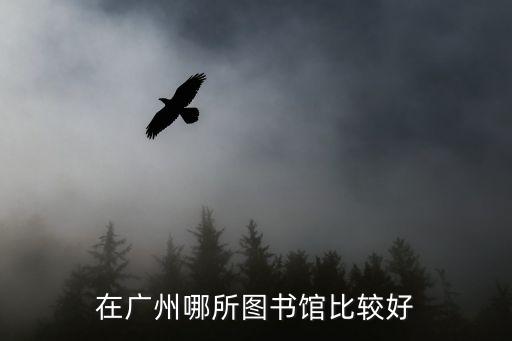 在廣州哪所圖書(shū)館比較好