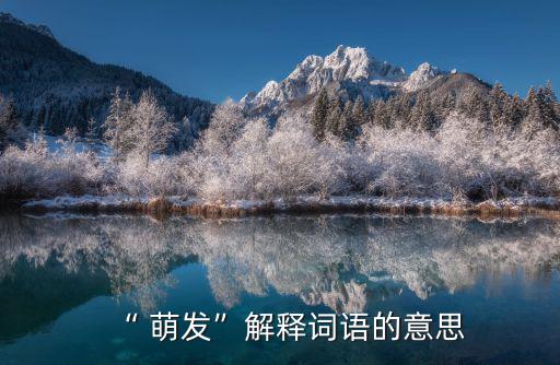 “ 萌發(fā)”解釋詞語的意思