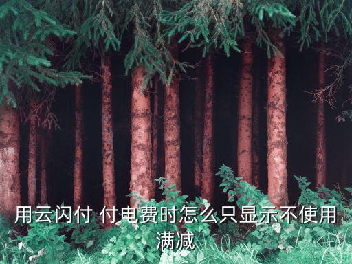 用云閃付 付電費時怎么只顯示不使用滿減