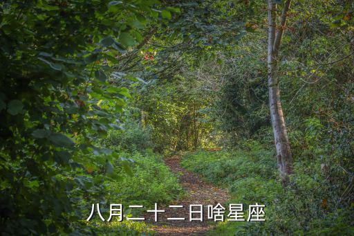 8月22日是什么星座，八月二十二號是什么座