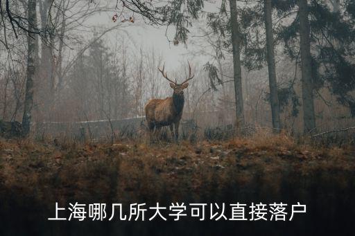 上海哪幾所大學可以直接落戶