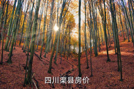 四川渠縣房價