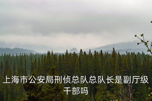 上海市公安局刑偵總隊總隊長是副廳級干部嗎
