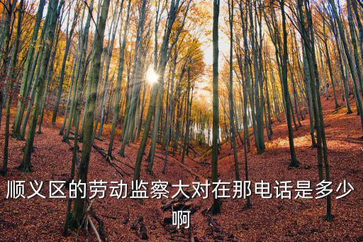 順義區的勞動監察大對在那電話是多少啊