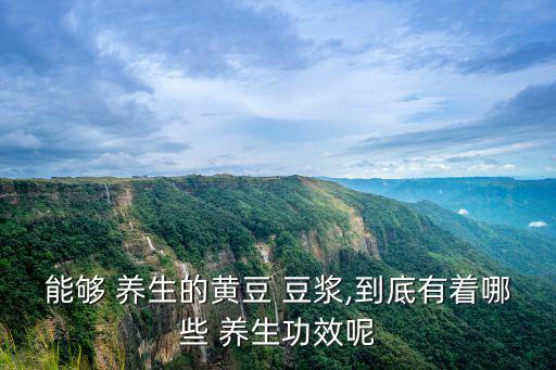 養(yǎng)生豆?jié){,【養(yǎng)生豆?jié){(功能)