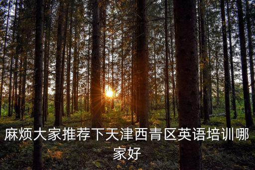 麻煩大家推薦下天津西青區英語培訓哪家好