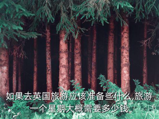 如果去英國(guó)旅游應(yīng)該準(zhǔn)備些什么,旅游一個(gè)星期大概需要多少錢(qián)
