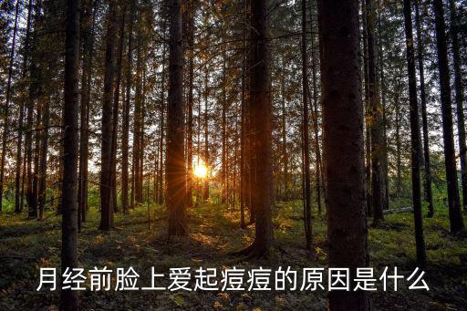 月經(jīng)前臉上愛起痘痘的原因是什么