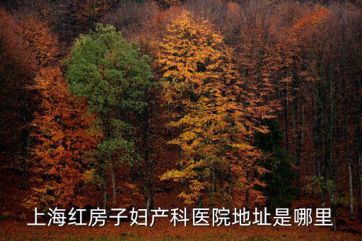 上海紅房子婦產科醫院地址是哪里