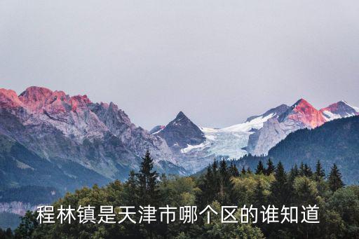 天津市計量 張大建，程林鎮是天津市哪個區的誰知道
