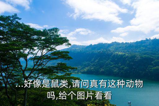 瞎子圖片,【電影《賭圣3:無名小子》:鼠鼠戴眼鏡變瞎子