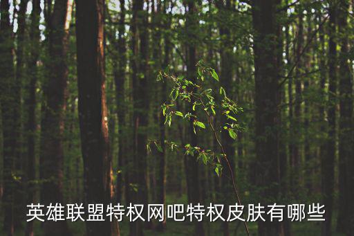 lol特權,成為lol特權網吧需要支付什么費用?