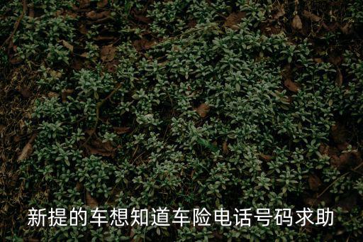 新提的車想知道車險電話號碼求助