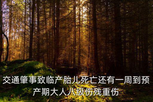 天津市河西區(qū)文明辦臧大偉，迎青奧會做文明人