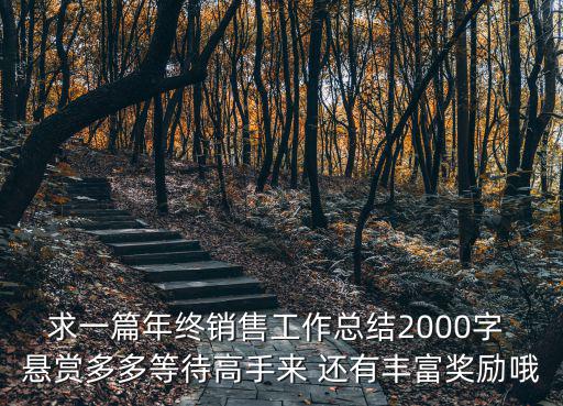 求一篇年終銷售工作總結2000字 懸賞多多等待高手來 還有豐富獎勵哦