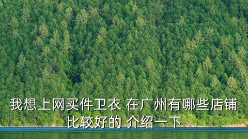我想上網買件衛衣 在廣州有哪些店鋪比較好的 介紹一下