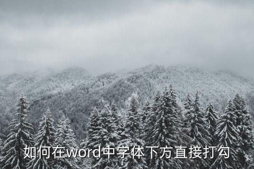 如何在word中字體下方直接打勾