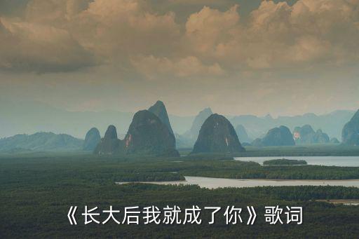 《長大后我就成了你》歌詞