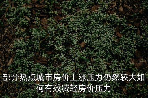 部分熱點城市房價上漲壓力仍然較大如何有效減輕房價壓力