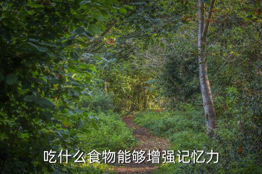 吃什么食物能夠增強記憶力