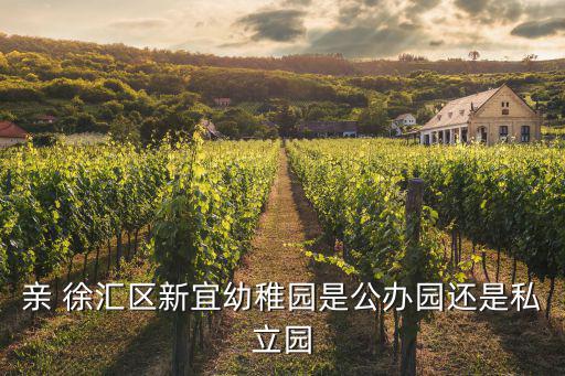 親 徐匯區新宜幼稚園是公辦園還是私立園