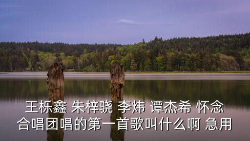 王櫟鑫 朱梓驍 李煒 譚杰希 懷念合唱團(tuán)唱的第一首歌叫什么啊 急用
