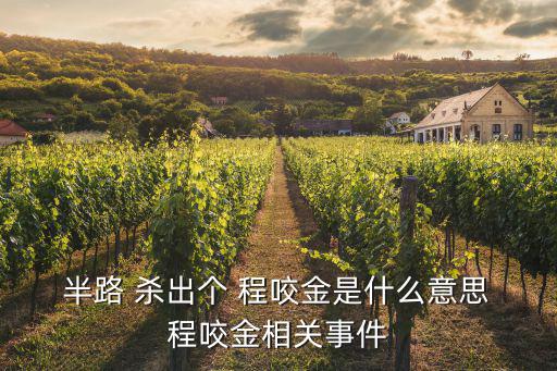  半路 殺出個 程咬金是什么意思 程咬金相關事件