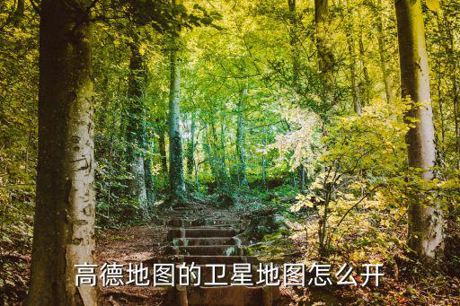 高德地圖的衛星地圖怎么開