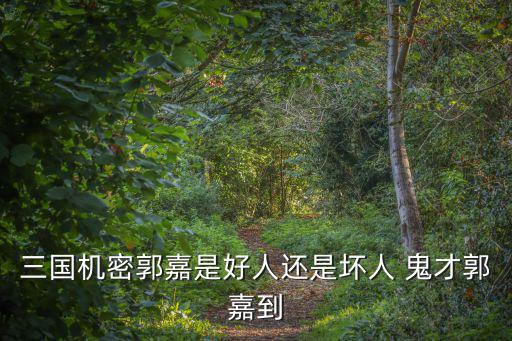三國機(jī)密郭嘉是好人還是壞人 鬼才郭嘉到