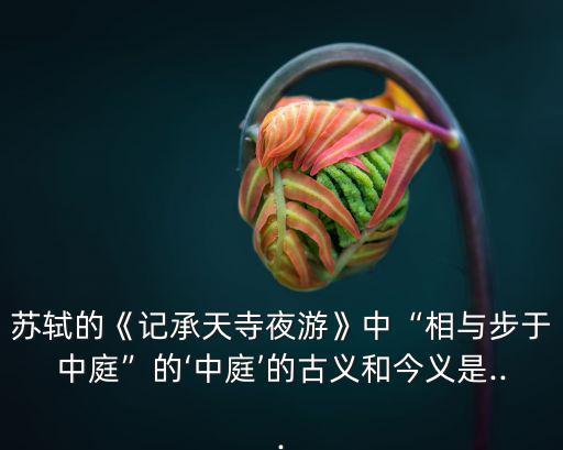 相與步于中庭的與,第二集:相與步于中庭的意思是什么?