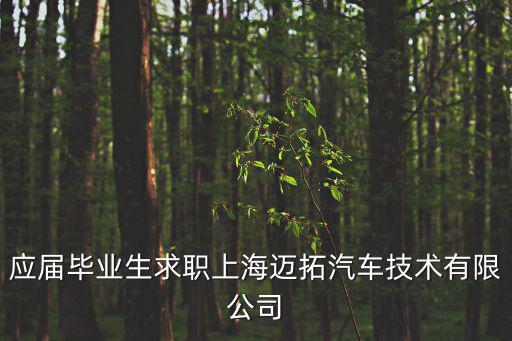 上海市2019年應屆高校畢業生首場招聘，上海鐵路局高校招聘