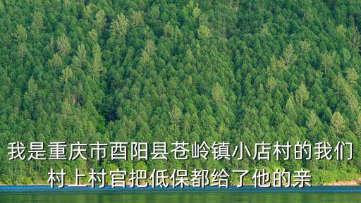 我是重慶市酉陽縣蒼嶺鎮小店村的我們村上村官把低保都給了他的親
