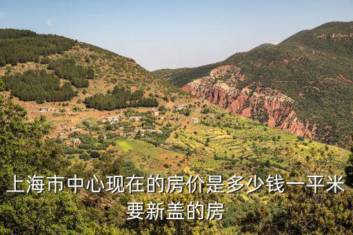 上海市中心現在的房價是多少錢一平米要新蓋的房
