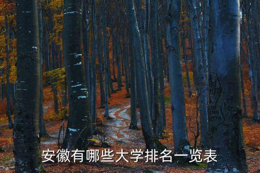 安徽有哪些大學排名一覽表