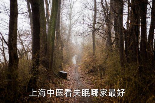 上海市中醫(yī)醫(yī)院睡眠障礙專科，上海中醫(yī)看失眠哪家最好