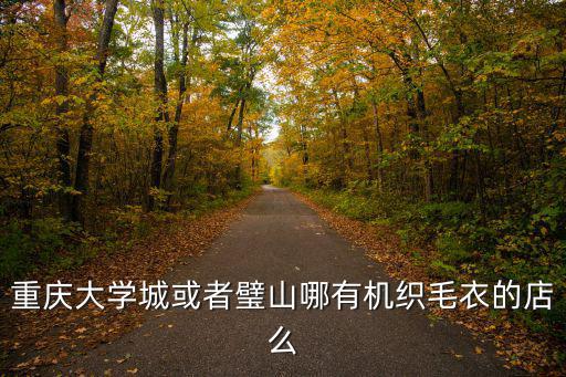 重慶大學城或者璧山哪有機織毛衣的店么