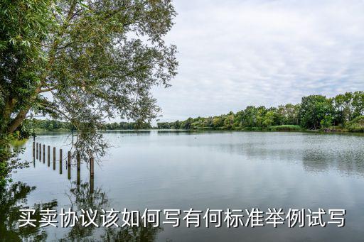 買賣協(xié)議范本，買賣協(xié)議該如何寫有何標準舉例試寫