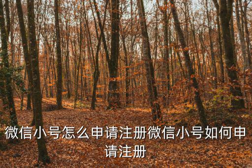 微信小號怎么申請注冊微信小號如何申請注冊