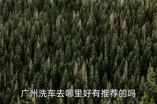 廣州洗車去哪里好有推薦的嗎