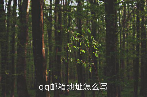 qq郵箱地址怎么寫