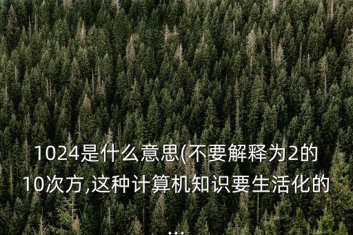 1024回復,關于1024的起源與用法