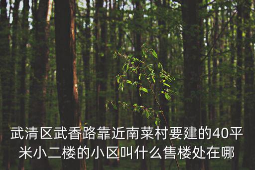 武清區(qū)武香路靠近南菜村要建的40平米小二樓的小區(qū)叫什么售樓處在哪