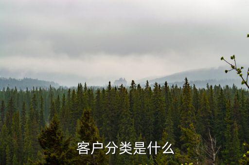 客戶類型,通常客戶大致分為三種:b1類